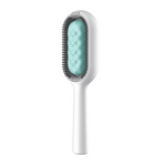 Pet Hair Removal Comb with Water Tank