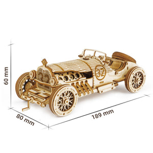 Super Wooden Mechanical Model Puzzle Set