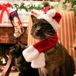 Christmas Decoration Santa Hat with Scarf