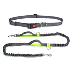 Handsfree Elastic Bungee Dog Leash