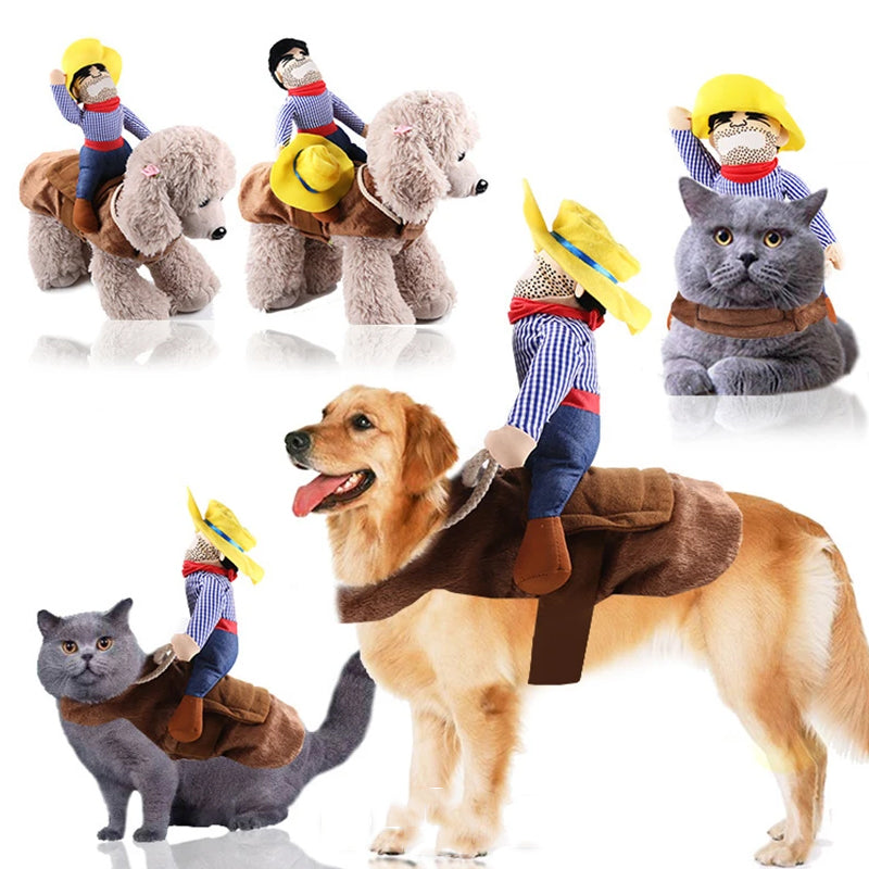 Pet Horse Riding Costume