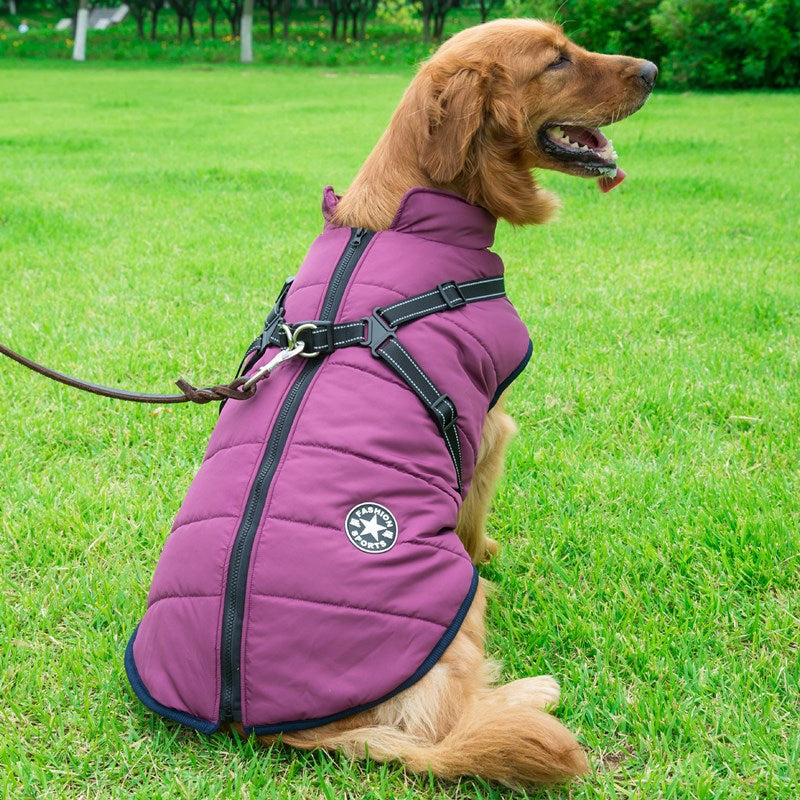 Winter Zipper Coat for Dogs