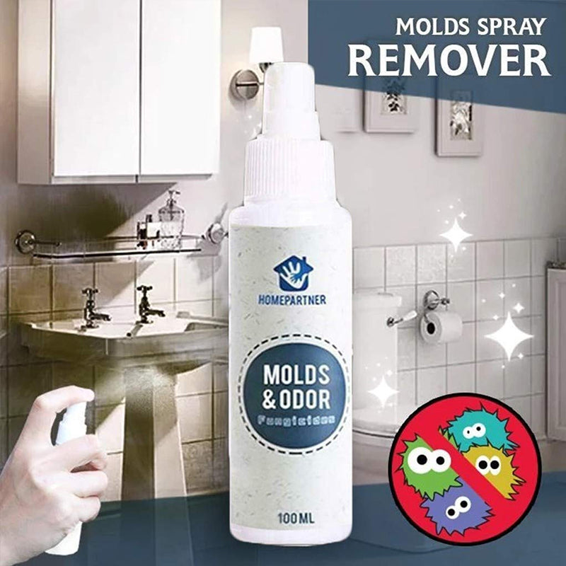 Mold Remover Spray