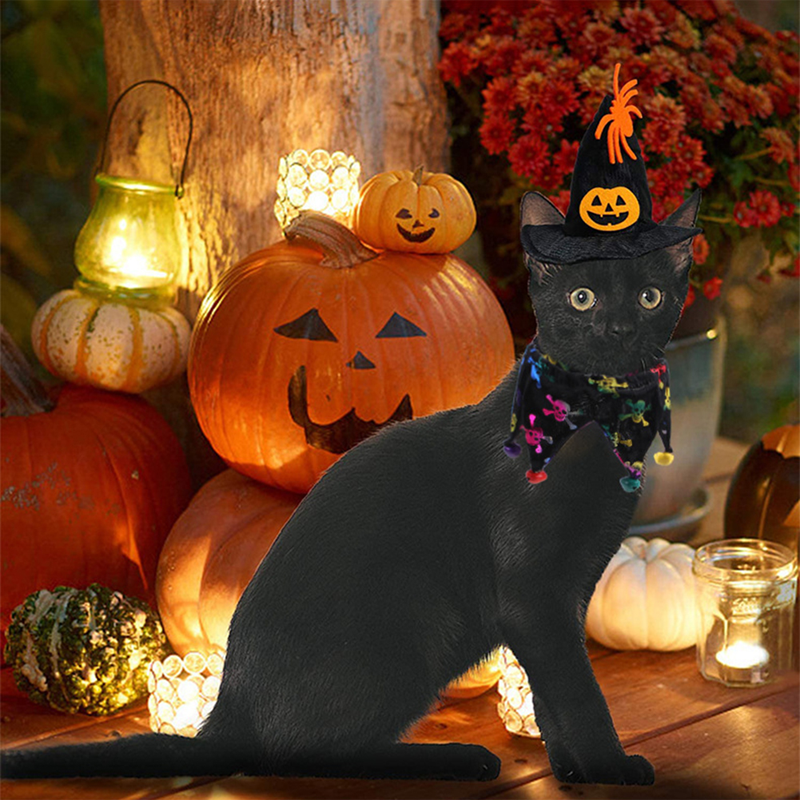 Halloween Cosplay Pet Hat and Scarf