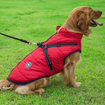 Winter Zipper Coat for Dogs