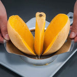 Stainless Steel Mango Peeling Separator