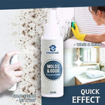 Mold Remover Spray