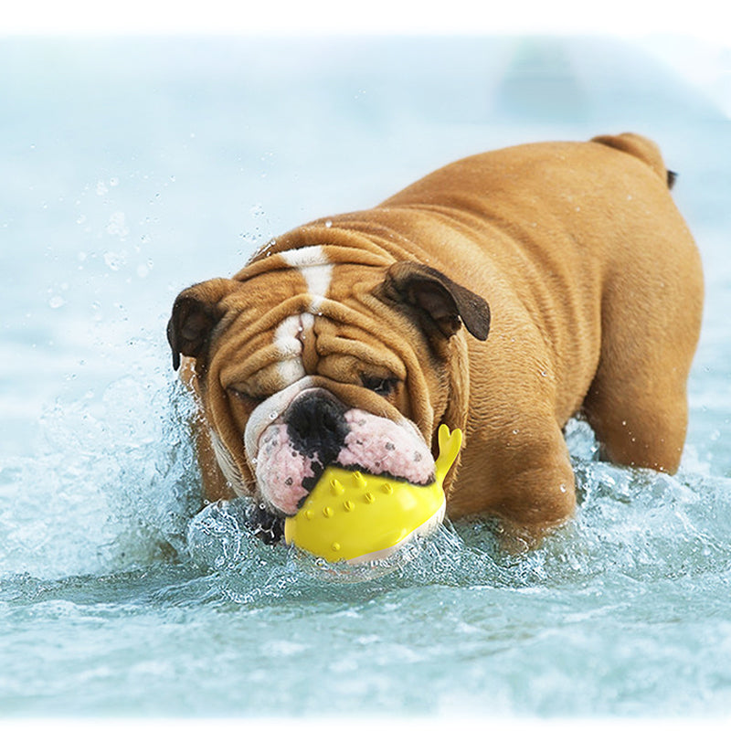 Electric Floating Bath Toy