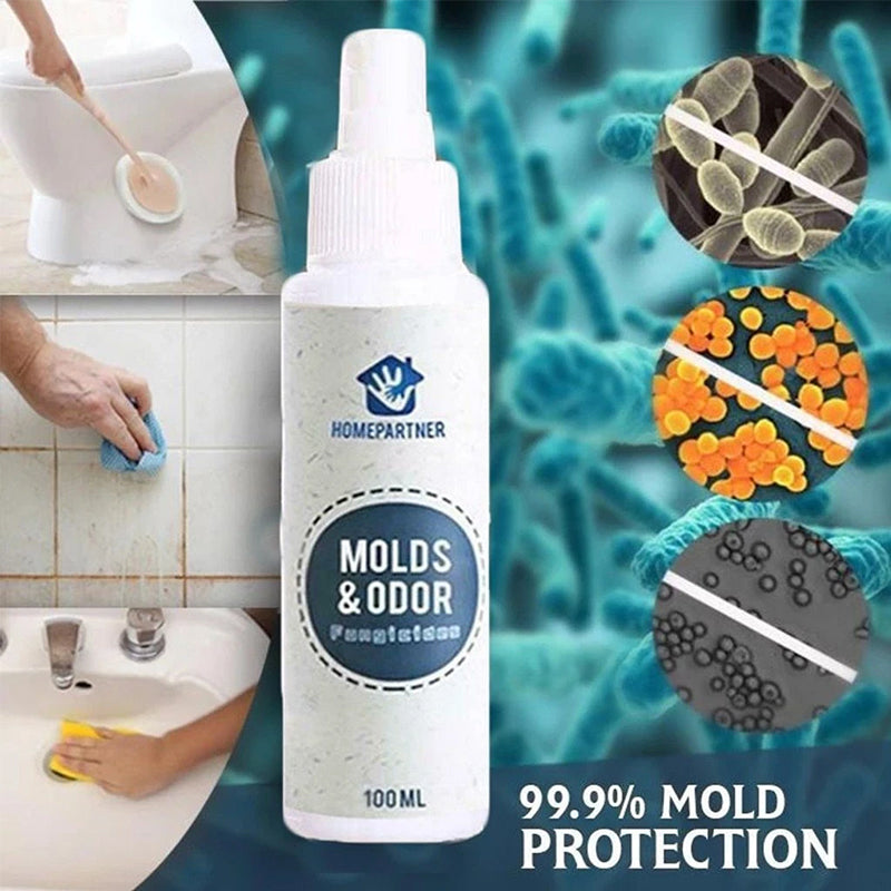 Mold Remover Spray