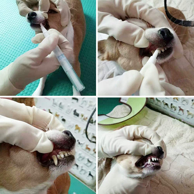 Pet Teeth Cleaning Pen