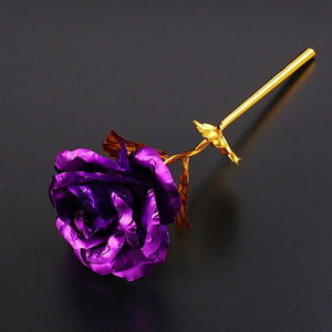 24K Gold Rose