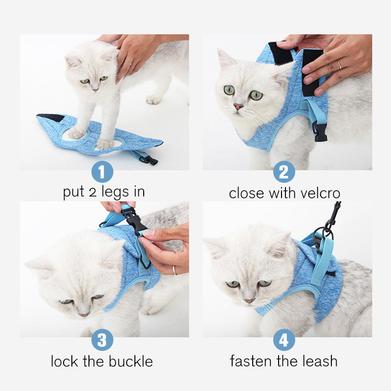 Cat Vest Harness and Leash