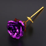 24K Gold Rose