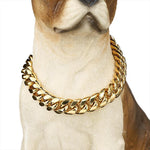 Zirconia Lock Buckle Dogs Chain Necklace