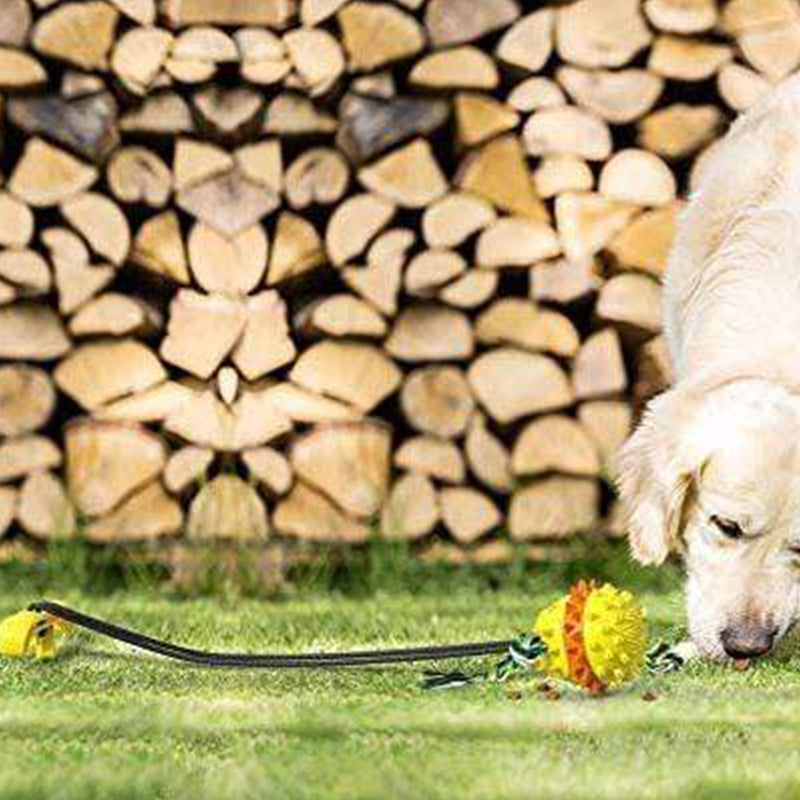 Outdoor Pet Rope Ball