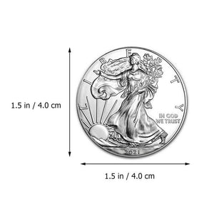 New Year Gift Souvenir Coin