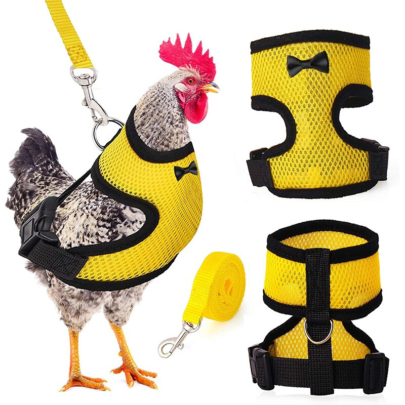 Breathable Pet Harness and Leash