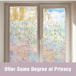 3D Rainbow Window Film