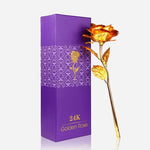 24K Gold Rose