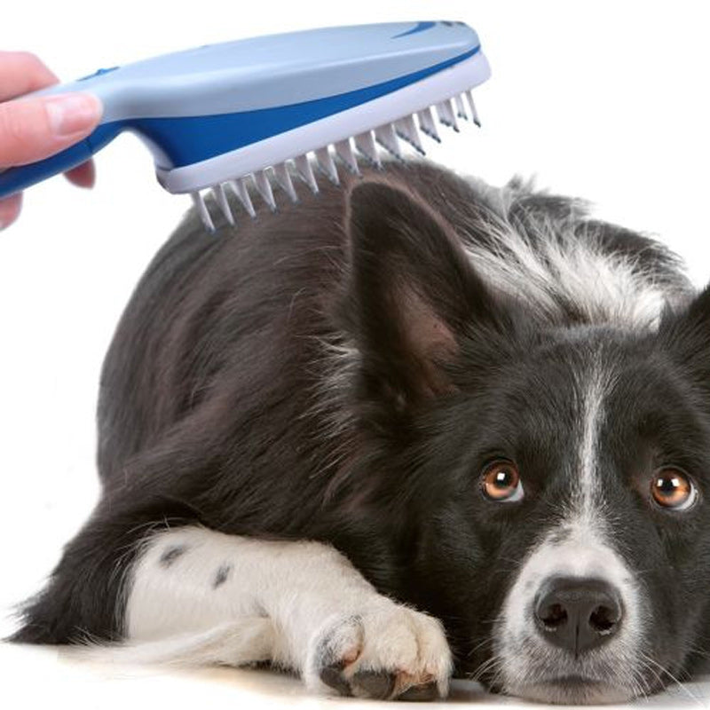 Anion Pet Brush Pet Grooming