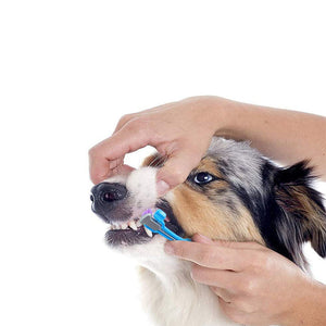 Three Sided Pet Toothbrush