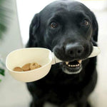 Digital Pet Food Measuring Scoop Feed Spoon