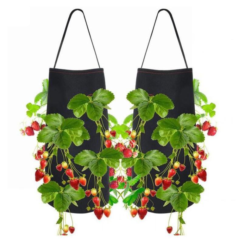 Hanging Strawberry Planting Bag