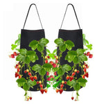 Hanging Strawberry Planting Bag