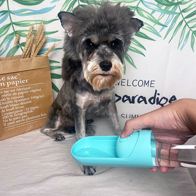 Portable Puppy Water Dispenser