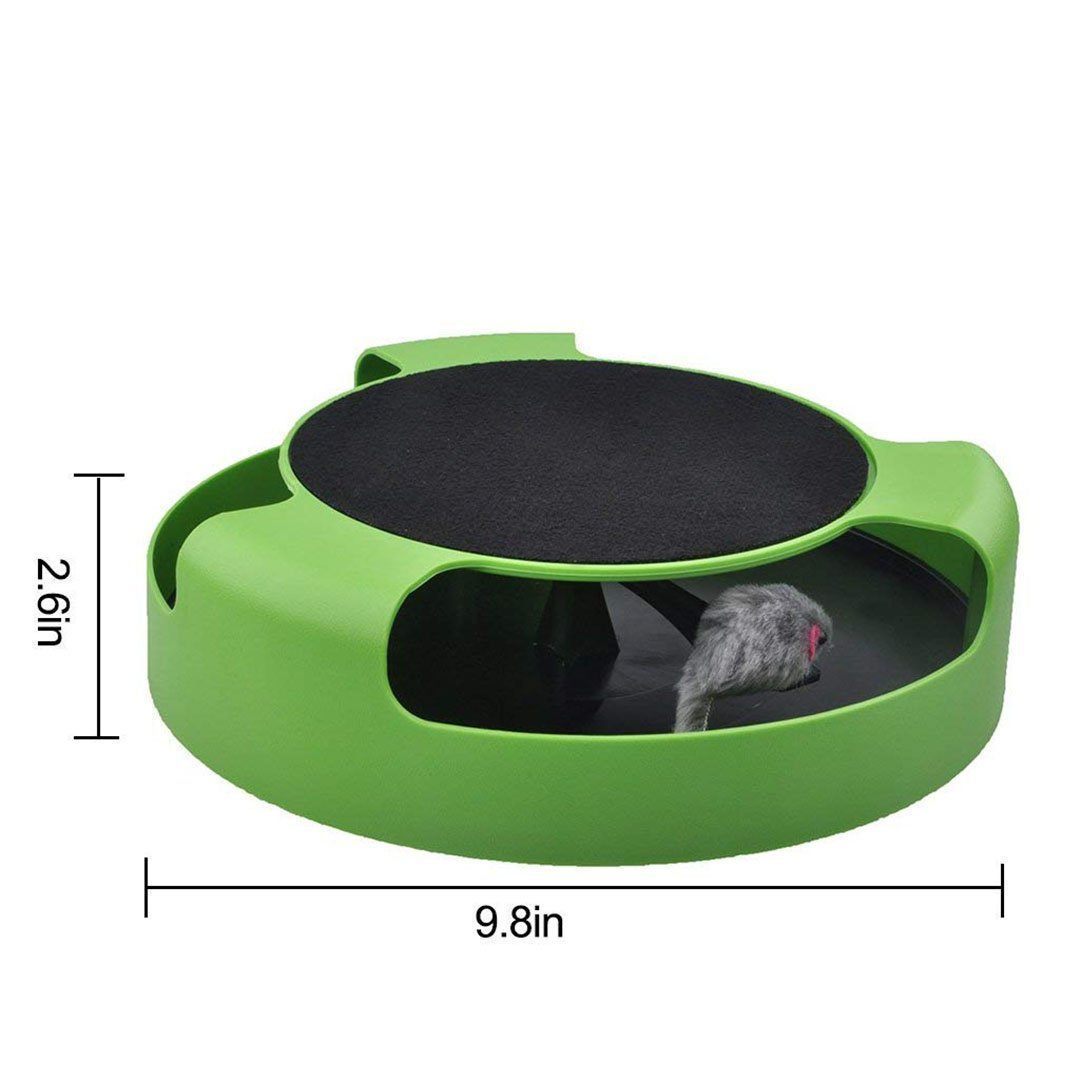 Catch Mouse Interactive Cat Toy